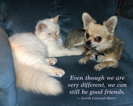 White Cat and Chihuahua with Quote