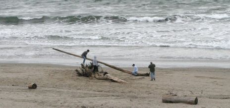 Boys Playing on Driftwood