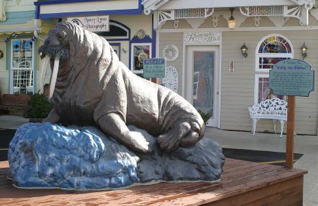 Sea Lion Sculpture in Newport, OR