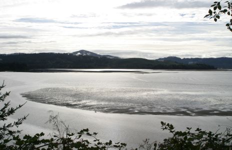 Alsea Bay on the Oregon Coast, Low Tide