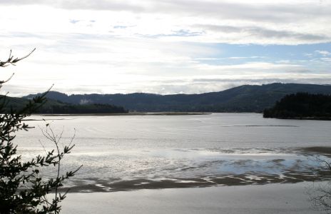 Alsea Bay on the Oregon Coast, Low Tide