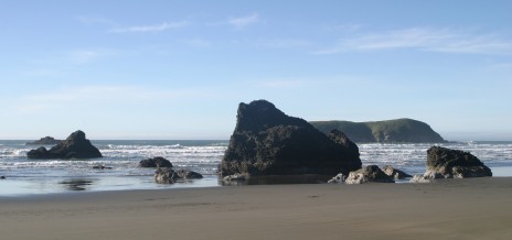 Oregon Coast Rocks