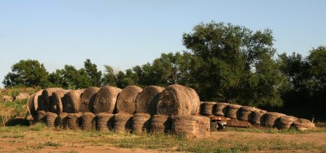 Old Round Bales of Hay