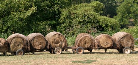 Old Round Hay Bales on Old Carts