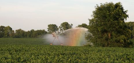 Overhead Center Pivot Sprinklers with Rainbow