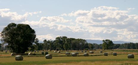 Clouds over Round Hay Bales