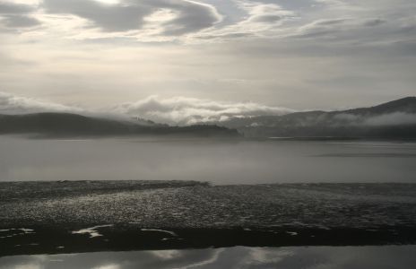 Foggy Alsea Bay at Low Tide, Waldport, OR