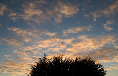 Altocumulus Clouds at Sunset