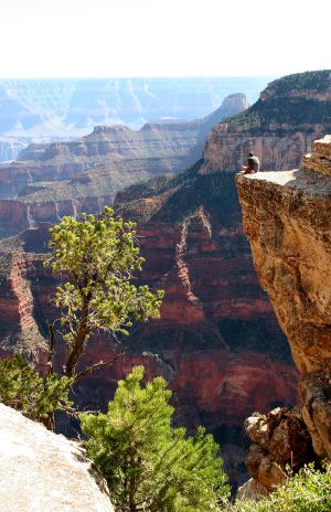 Overlooking the Grand Canyon National Park  from the North Rim