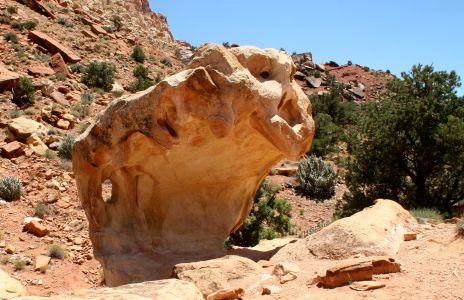 Rock Formation, Capitol Reef National Park
