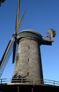 Old Windmill in Golden Gate Park