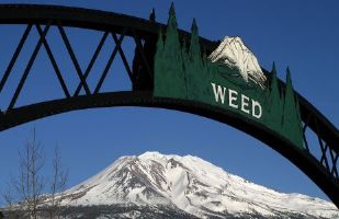 Mt Shasta from Weed, CA