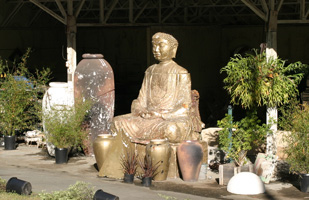 Huge Golden Budda