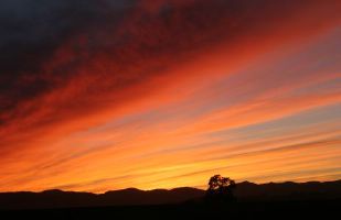 Brilliant Sunset over Carlton, OR