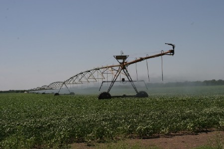 Agriculture Being Watered in Kansas