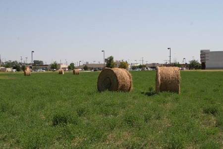 Large Round Bales of Hay in Salina, KS