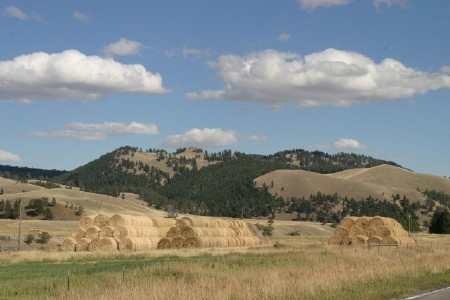 Stacks of round hay bales