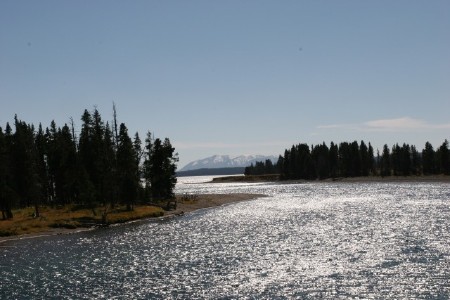 Yellowstone river at the Fishing Bridge