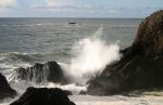 Waves Crashing on Seal Rocks