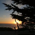 Monterey Sunset and Cypress Trees