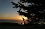 Monterey Sunset and Cypress Trees