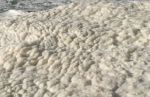Foam at Devils Churn near Cape Perpetua