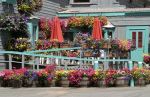 Colorful Flower Planters