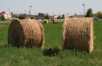 Large Round Hay Bales in City Lot