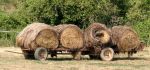 Old Round Hay Bales on Old Cart