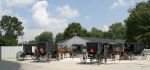 Amish Carriages with Horses at Rest