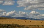 Clouds over Montana Hay Field - 