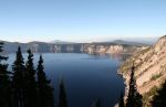 Pine Trees and Crater Lake, OR