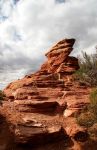 Red Rocks from Schnebly Road, Sedona, AZ 