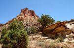 Rock Formation and Trees, Capitol Reef National Park