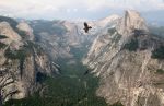 Ravens and Halfdome from Glacier Point in Yosemite