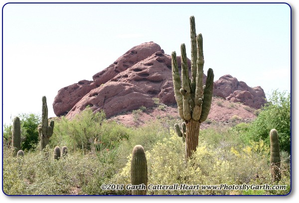 Papago Buttes