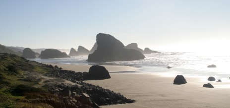 Oregon Coast Rocks