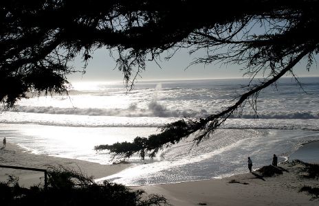 Carmel Beach