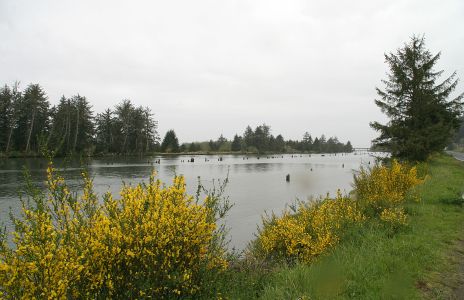 Siletz River, near Lincoln City, OR