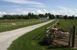 Amish farm, white picket fences and horses