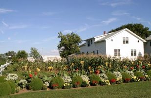 Amish Farm in Indiana