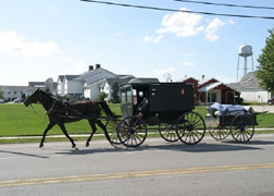 Amish Buggy pulling wagon