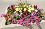 Colorful Planter with Assorted Flowers