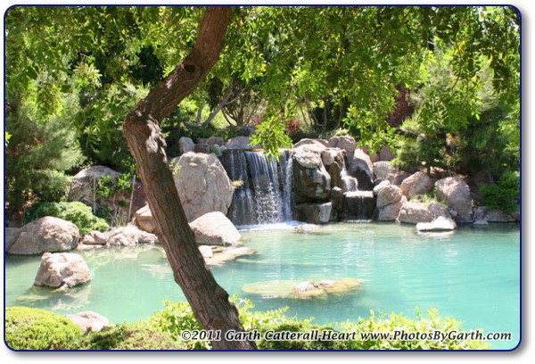 waterfall in the Japanese Friendship Garden in Phoenix, AZ.